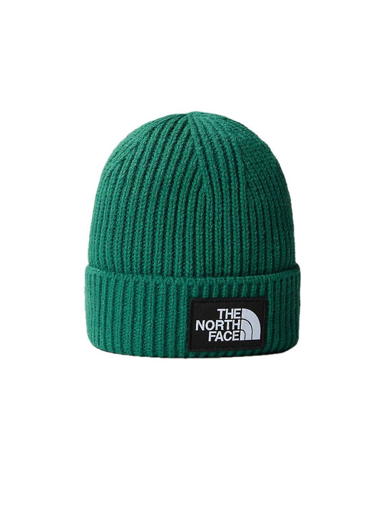 Tnf Logo Box Cuffed Beanie - Evergreen