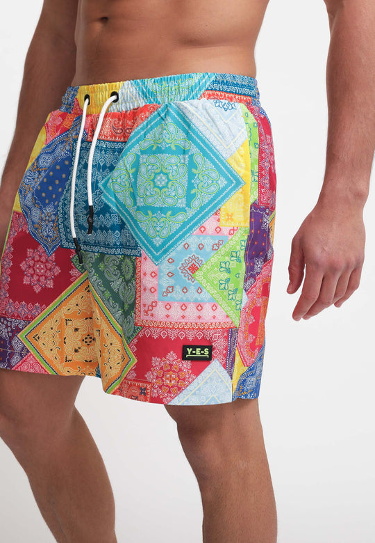 Boxer Mare - Fantasia