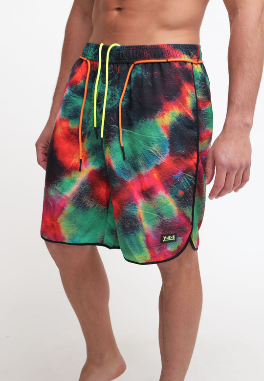 Boxer Mare - Multicolor
