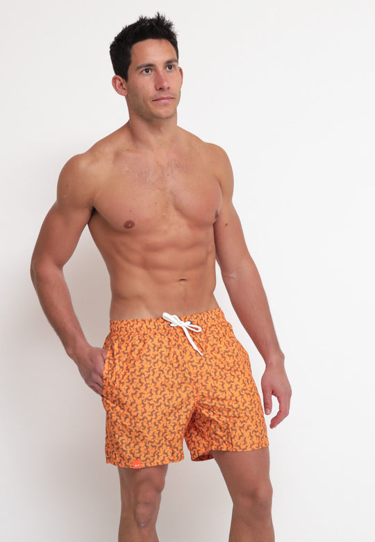 Swim Pant Small Print - Arancione