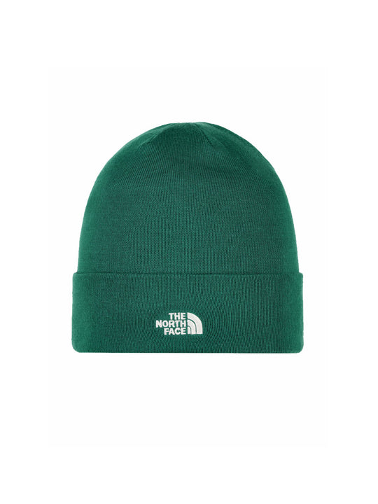 Norm Beanie - Evergreen