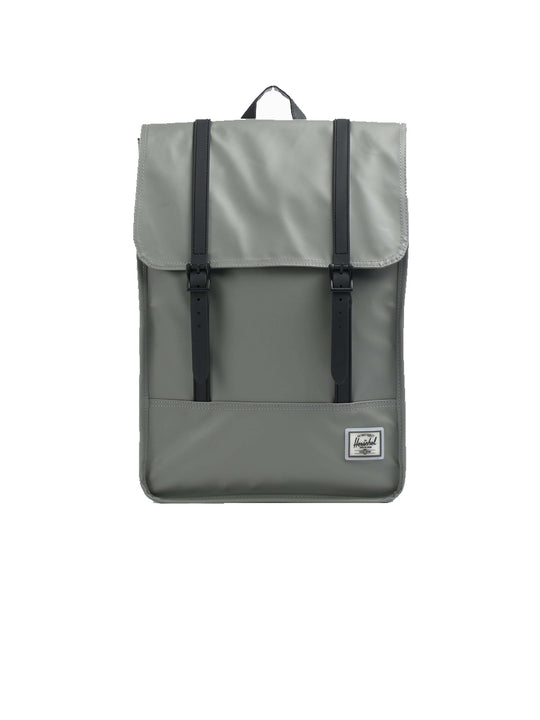 Survey II - Gargoyle