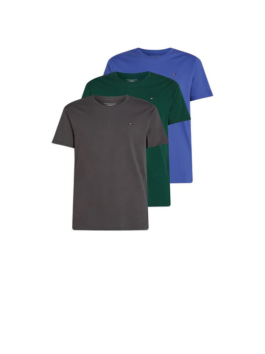 3p Ss Tee - Dark Ash Ornamental Green Laz Blue