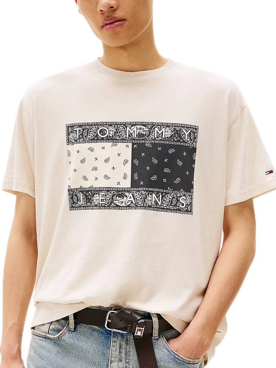 TJM Relaxed Paisley Flag Tee - Newsprint