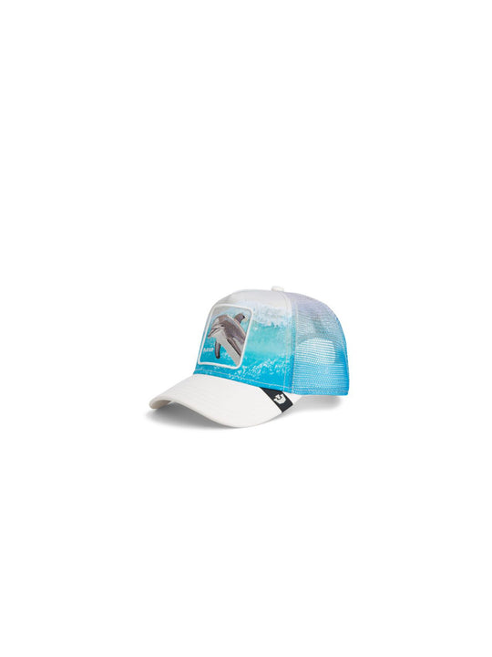 Dolphin In The Element