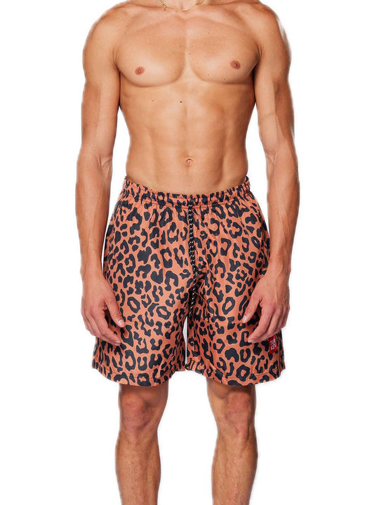 Saint Tropez - Leo Bronze