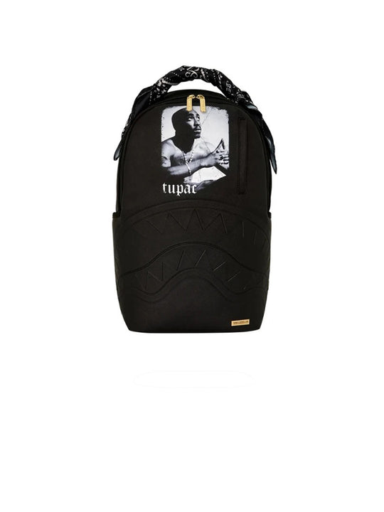 Tupac Lyrics Backpack