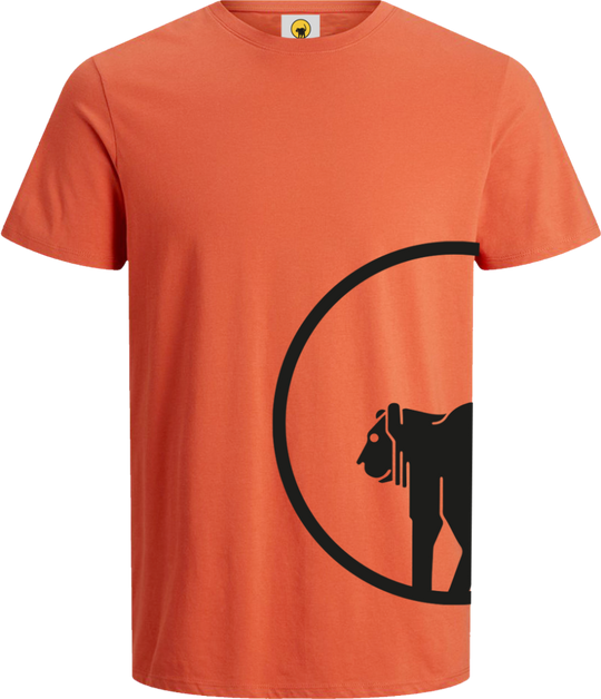 Rupert Flash - Orange