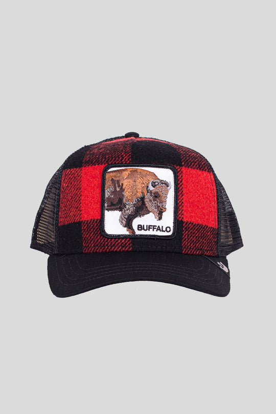 Buffalo Red