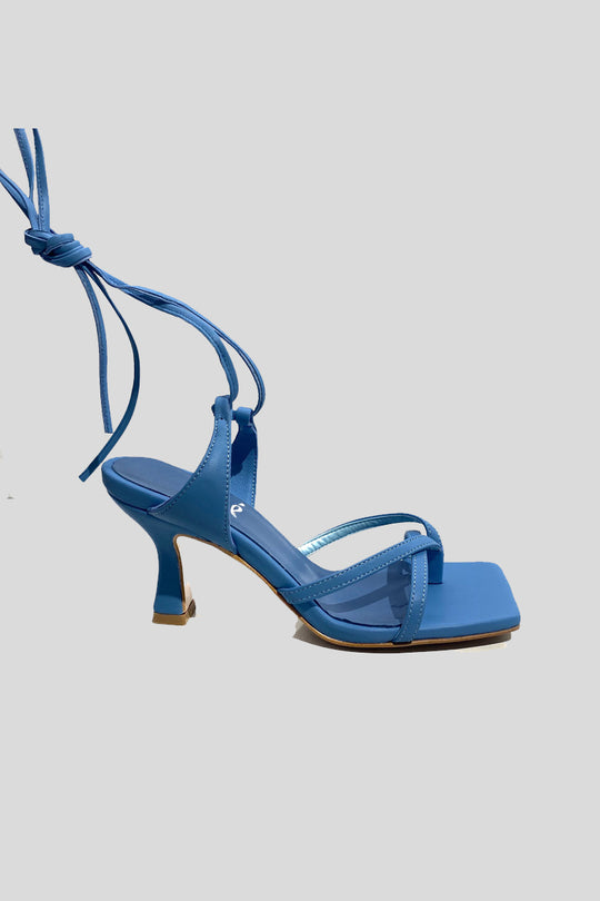 7010 Vitello - Avion