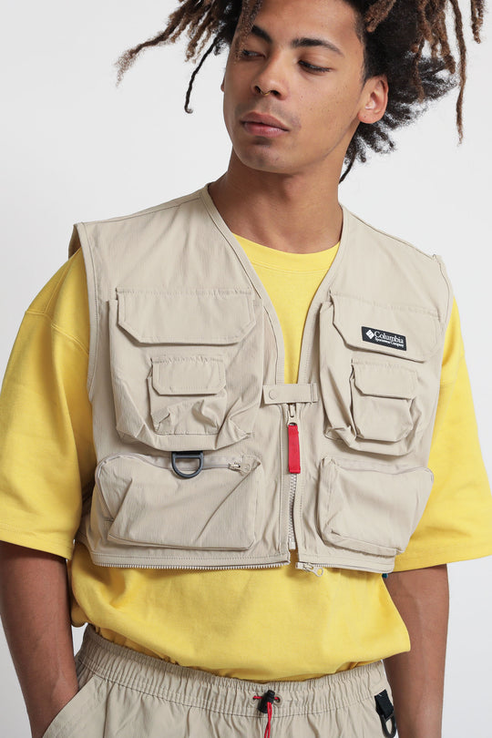 Field Creek Big Horn Ves - Ancient Fossil