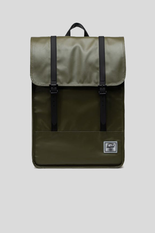 Survey II - Ivy Green