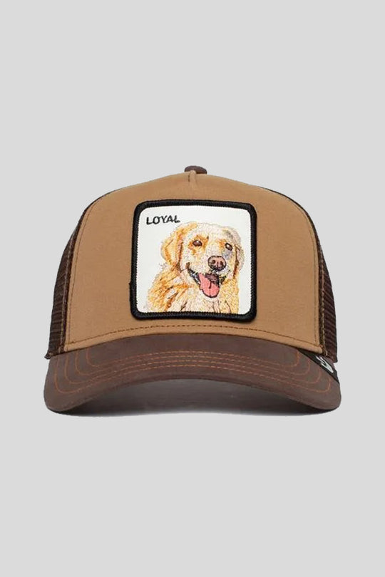 The Loyal Dog - Brown