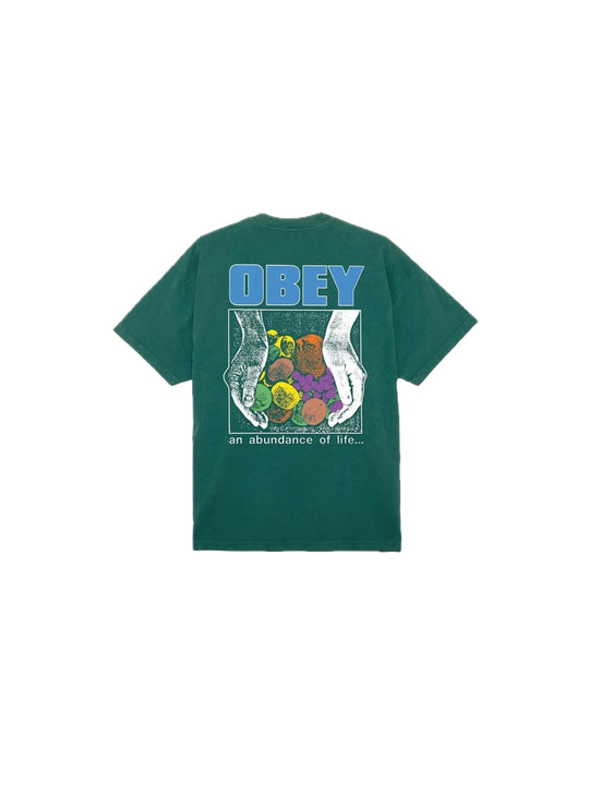 Obey An Abundance Of Life - Adventure Green