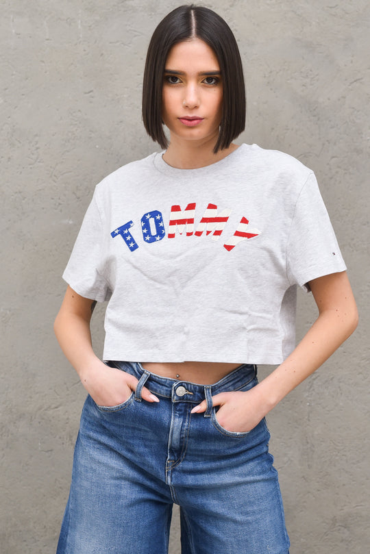 Tjw Tommy Us Flag Tee - Pale Grey Heat