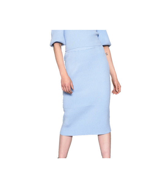Ladies Skirt - Pale Blue