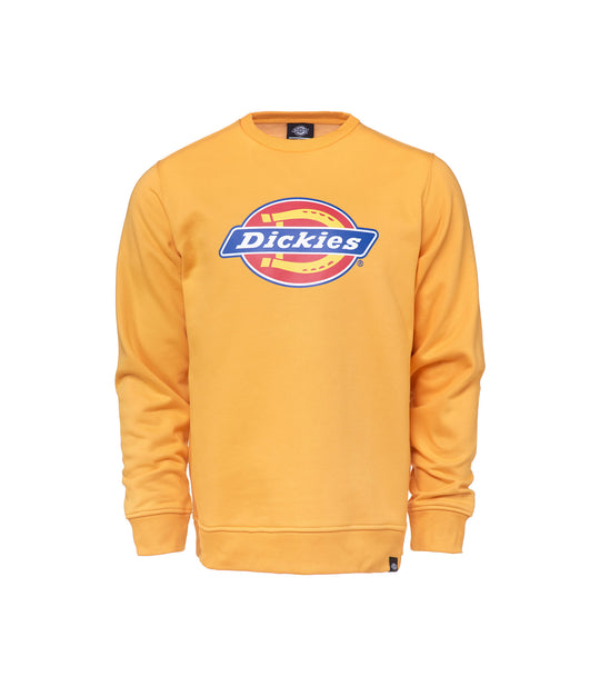 Pittsburgh 02 200241 - Amber